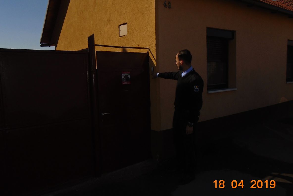 Arad: Se caută câinii periculoși, de luptă și atac, neînregistrați. Primăria Arad cere ajutorul localnicilor și promite o listă cu străzile unde există asemenea exemplare