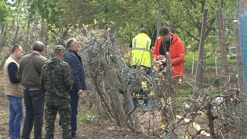 Arad: Crimă în Duminica Floriilor. Un fost învățător, de 65 de ani, și-a omorât vecinul, de 74 de ani. Bucăți din cap, prin grădină. Ce spun procurorii