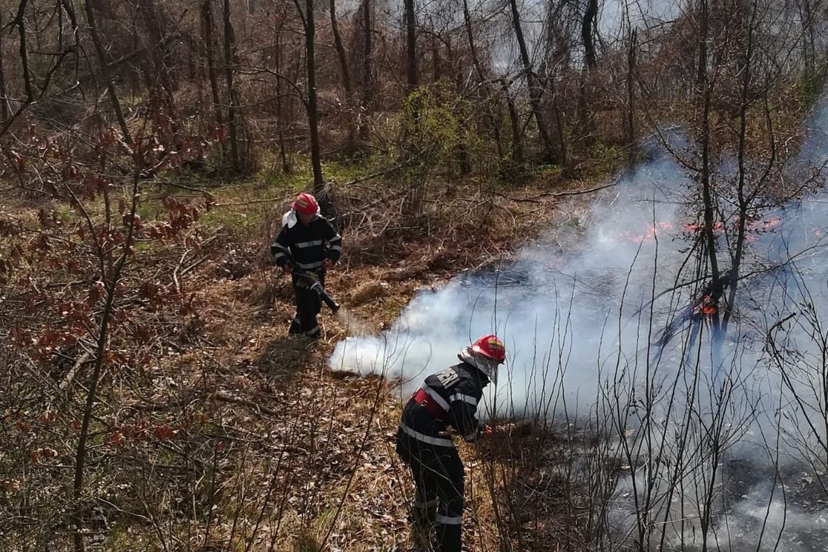 Arad: Incendii de vegetație uscată la marginea DN7. Fumul riscă să ajungă pe drum și să înreguneze circulația