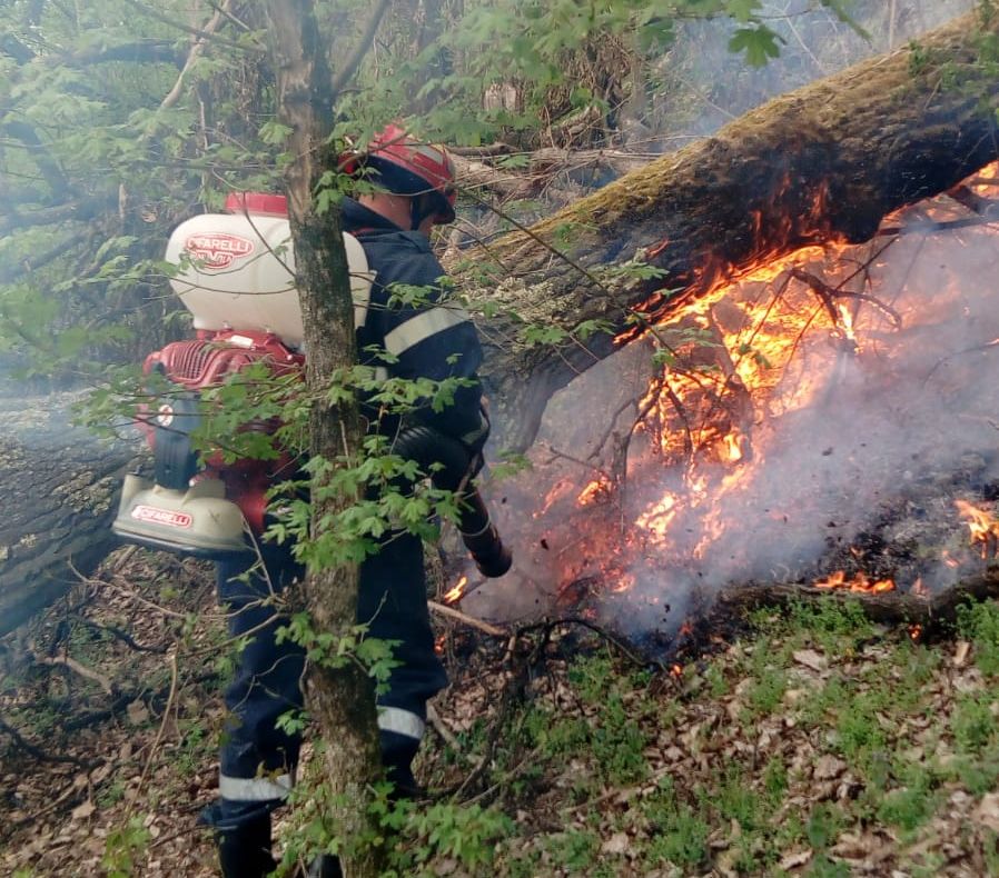 Arad: Al 3-lea incendiu de vegetație uscată într-o localitate din Arad, în cursul unei săptămâni. Pompierii intervin, duminică seara, în mai multe locuri din județ