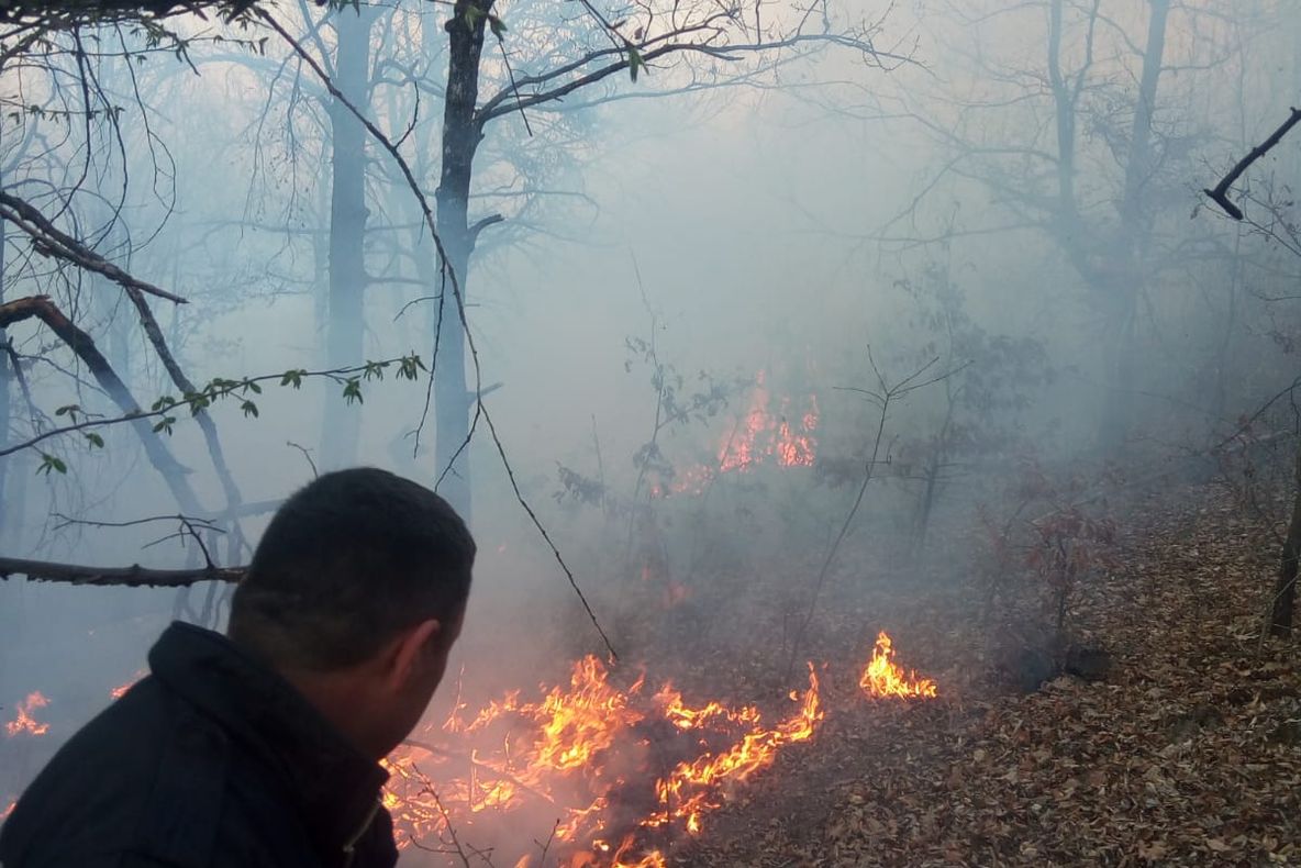 Arad: Incendiile de vegetație uscată au făcut ravagii la Arad. Cel mai mare a cuprins 30 de ha. În total, 32 de incendii în weekend