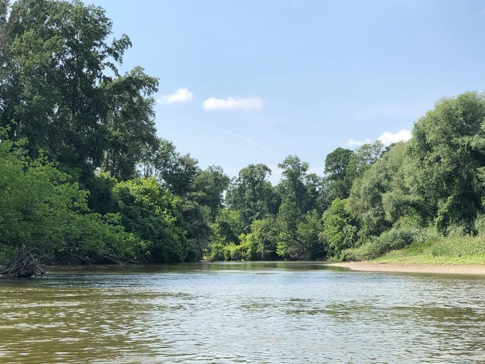 Arad: Vești bune pentru iubitorii ecoturismului: Pistele de biciclete din Parcul Natural Lunca Mureșului, reamanajate, și oferte speciale la plimbările cu canoe pe Mureș
