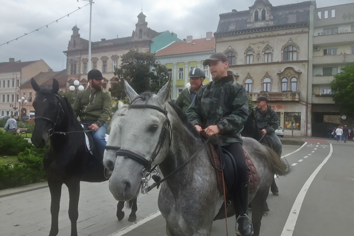 Arad: Repetiții pentru defilarea cu caii Cavaleriei Române și a Armatei Române, prin centrul Aradului