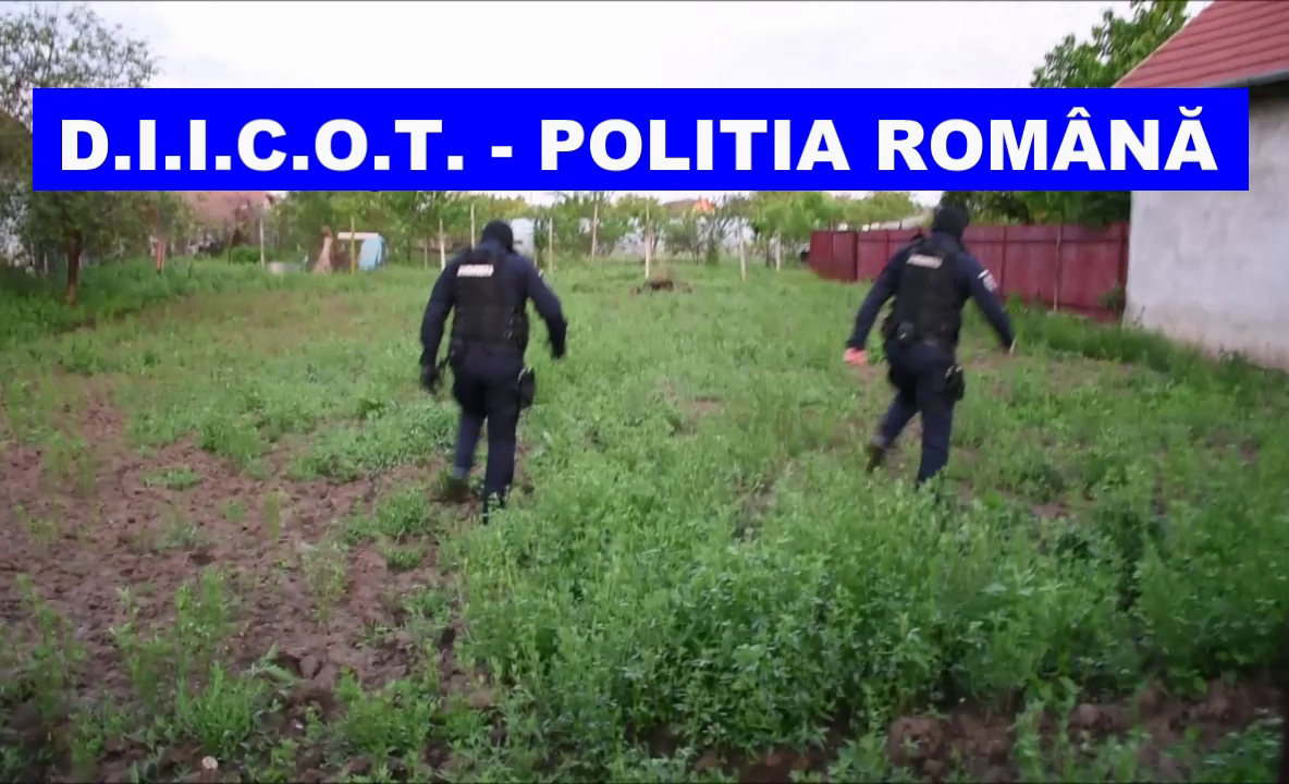 Arad: FOTO VIDEO O rețea care trafica migranți în Arad și Timiș, destructurată de către DIICOT. Cum acționau traficanții