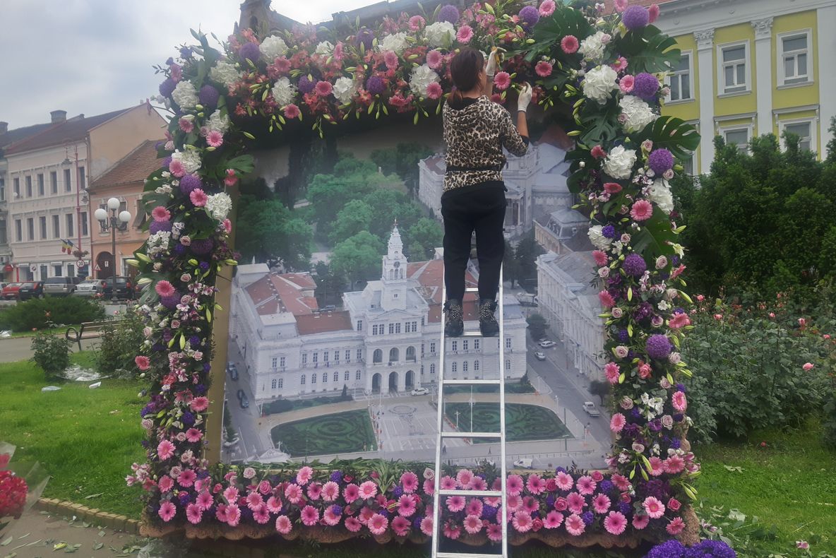 Arad: FOTO Figurine din zeci de mii de flori parfumate și colorate, muzică, dansuri stradale și acrobații de lumină, în centrul Aradului. PROGRAM COMPLET