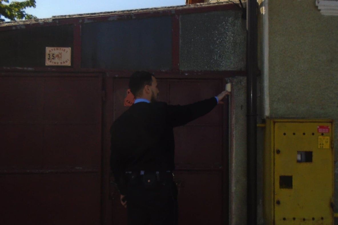 Arad: Ce nereguli au găsit autoritățile la proprietarii de câini agresivi și periculoși. S-au luat măsuri