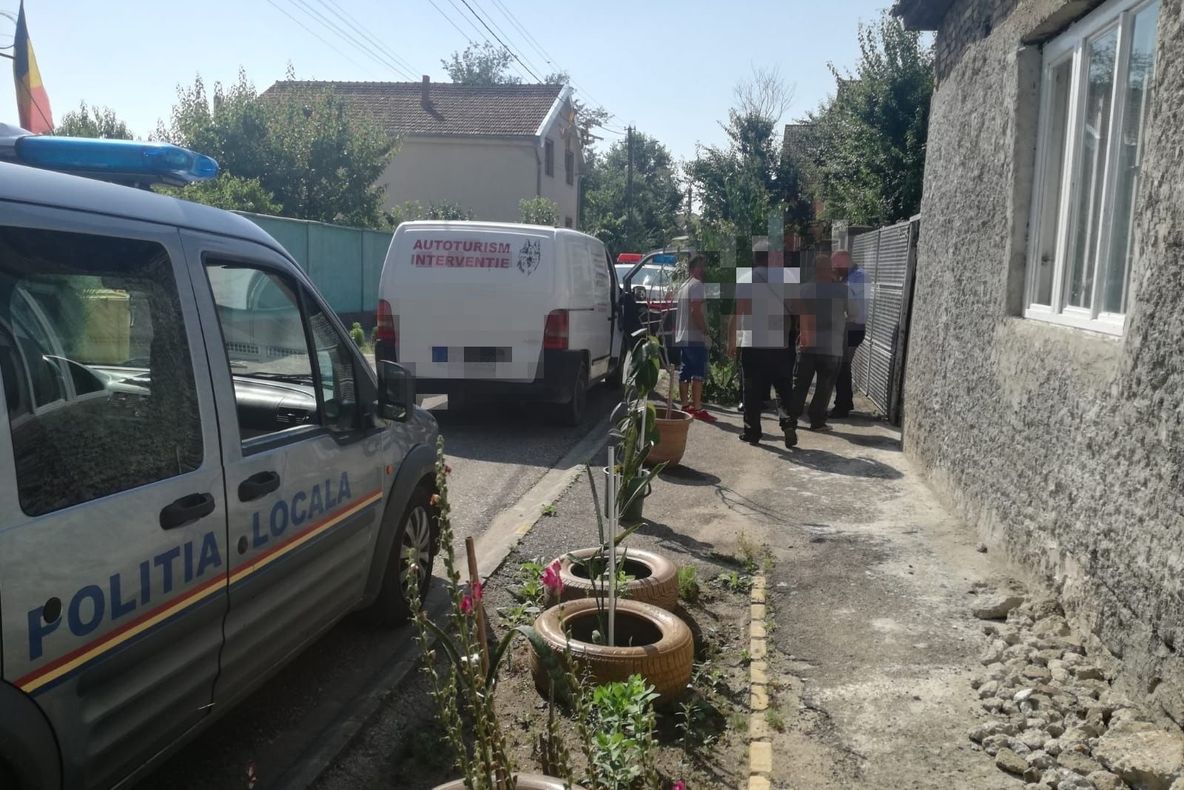 Arad: 22 de câini, confiscați de la un bărbat din Arad. Motivul