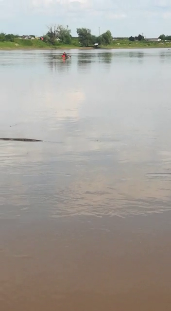 Arad: AUDIO Cadavrul unei femei, scos de pompieri din Mureș, în zona Mănăstirii Hodoș-Bodrog