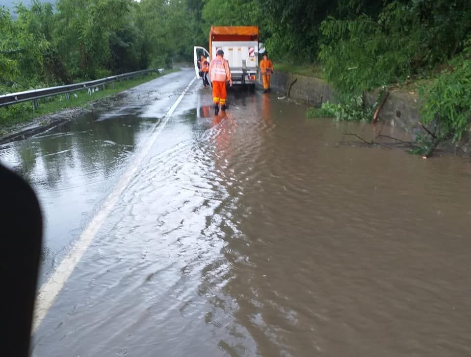 Arad: DN 7 și DN79A, sub ape și copaci rupți de vijelii, în județul Arad