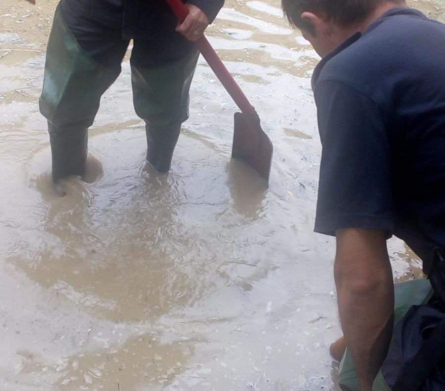 Arad: Alerte de inundații pe râuri din Arad, Timiș, Bihor, Caraș-Severin, Hunedoara, de vineri până luni
