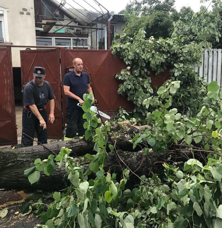 Arad: AUDIO Copaci rupți, mai multe gospodării și străzi, inundate, la Arad. Aproape tot județul, sub 4 coduri roșii de ploi și vânt puternic