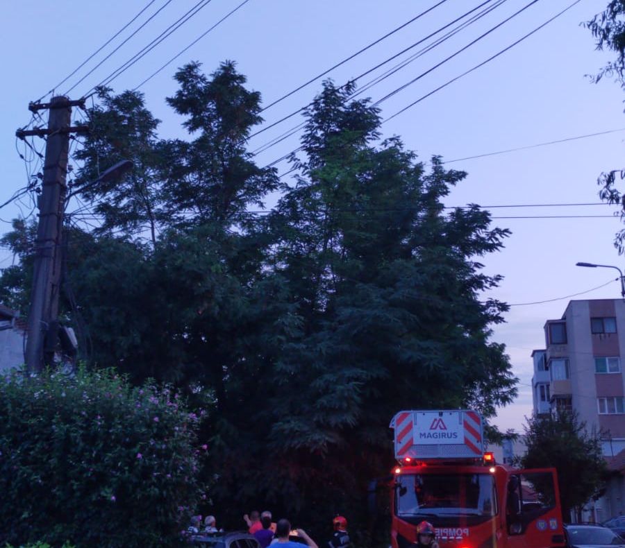 Arad: AUDIO Crengi de 10 metri lungime, rupte și atârnate de firele de curent. Au intervenit imediat pompierii din Arad