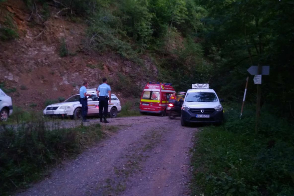 Arad: AUDIO Căutările ciobanului dispărut, în județul Arad, reluate vineri dimineață