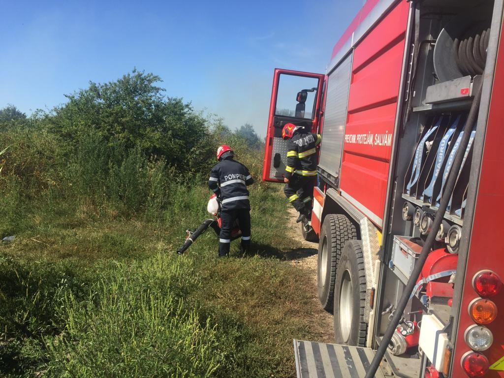 Arad: AUDIO VIDEO Incendiu puternic de vegetație uscată, la ieșirea din municipiul Arad. Care este cauza