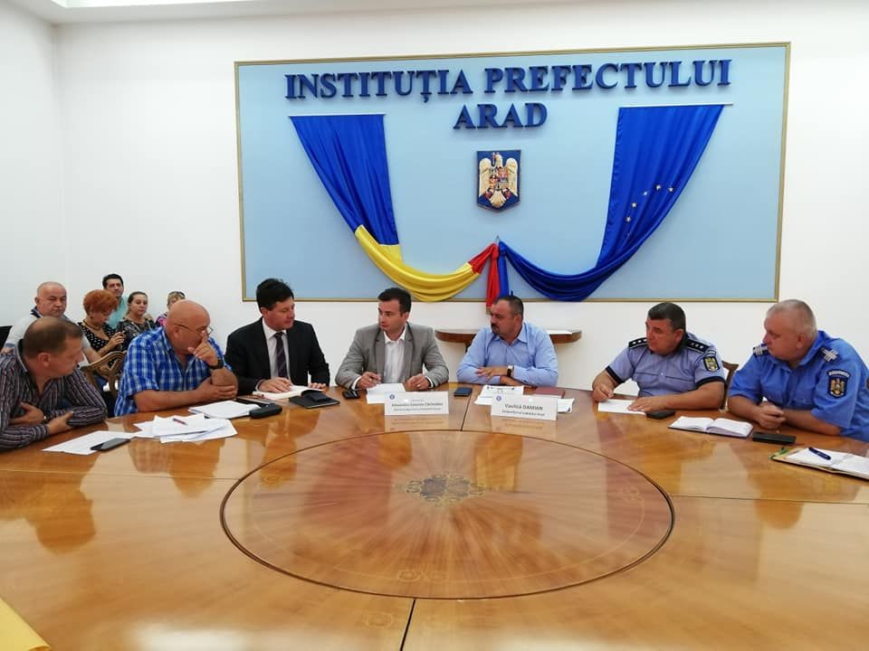 Arad: Pesta porcină africană se extinde tot mai mult în județul Arad. Autoritățile trec la măsuri extreme