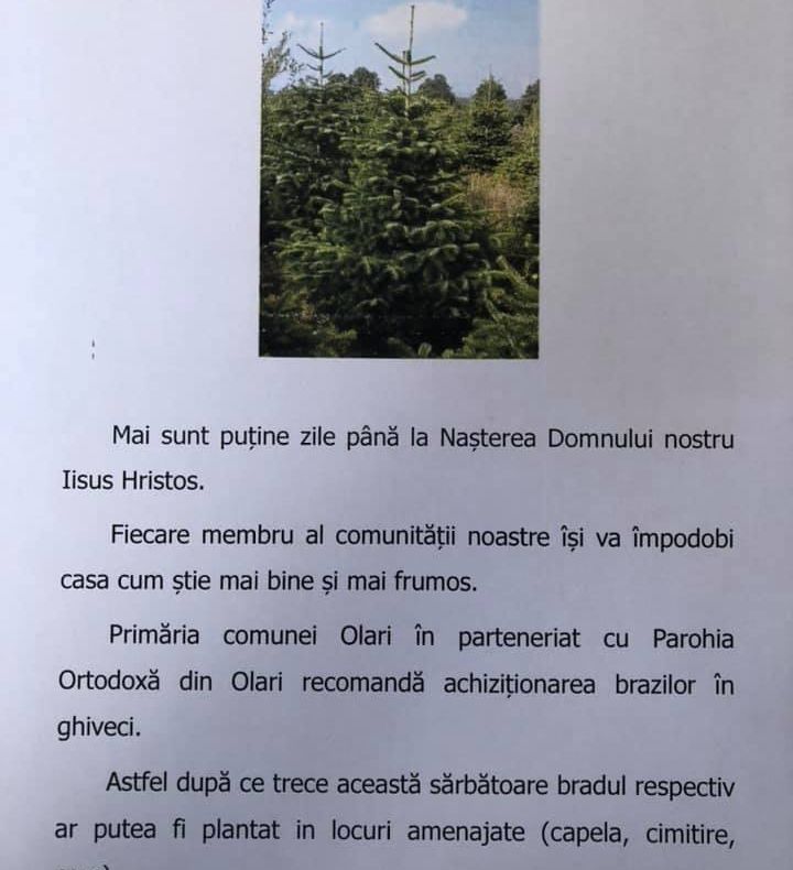 Arad: Primarul unei comune din județul Arad face apel la localnici ca să cumpere brazi de Crăciun în ghivece pentru a-i planta apoi în cimitir sau în parc