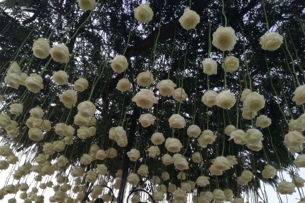 Arad: FOTO VIDEO Mii de flori împodobesc Piața Avram Iancu din centrul Aradului, în aranjamente florare desprinse parcă din basme