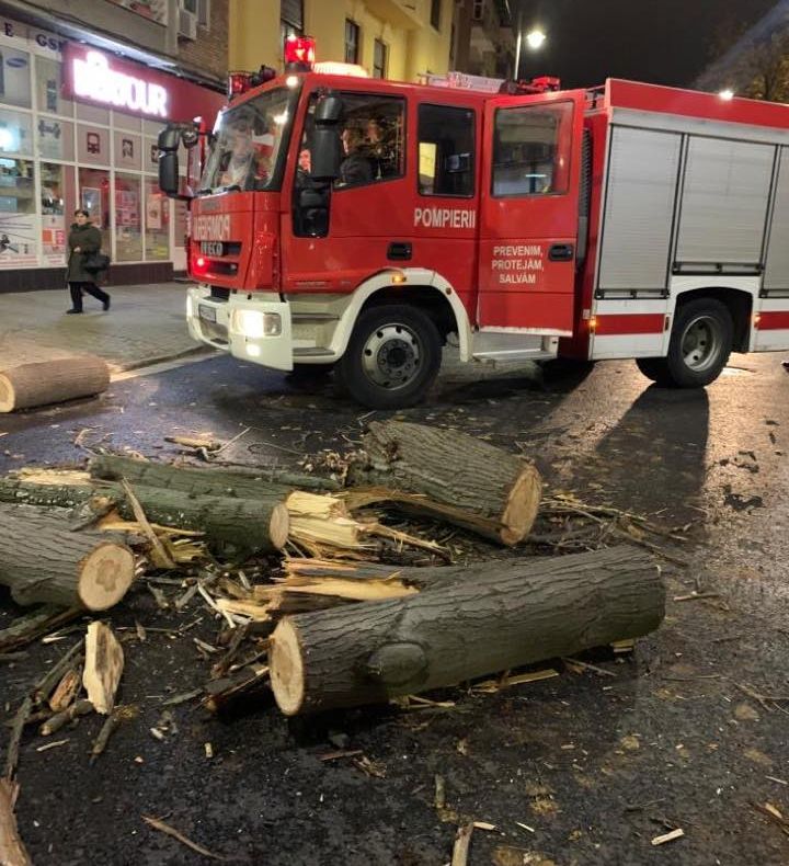 Arad: AUDIO Un copac a căzut peste o mașină chiar în centrul Aradului. Primarul Călin Bibarț a mers imediat la locului incidentului