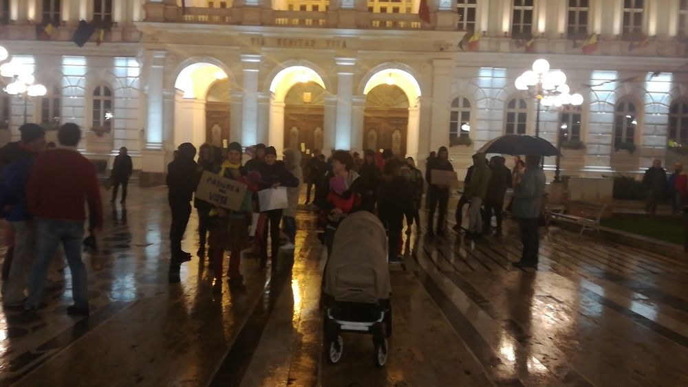 Arad: AUDIO FOTO VIDEO Zeci de persoane, la "Marșul pentru Păduri". "Orice tai, trebuie plantat de 3 ori". Ce experiențe au avut prin păduri 