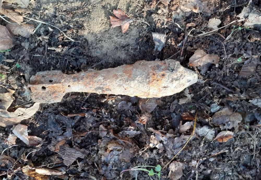 Arad: AUDIO FOTO Un bărbat a descoperit cu detectorul de metale o bombă rămasă din cel de-al Doilea Război Mondial. Unde a căutataca