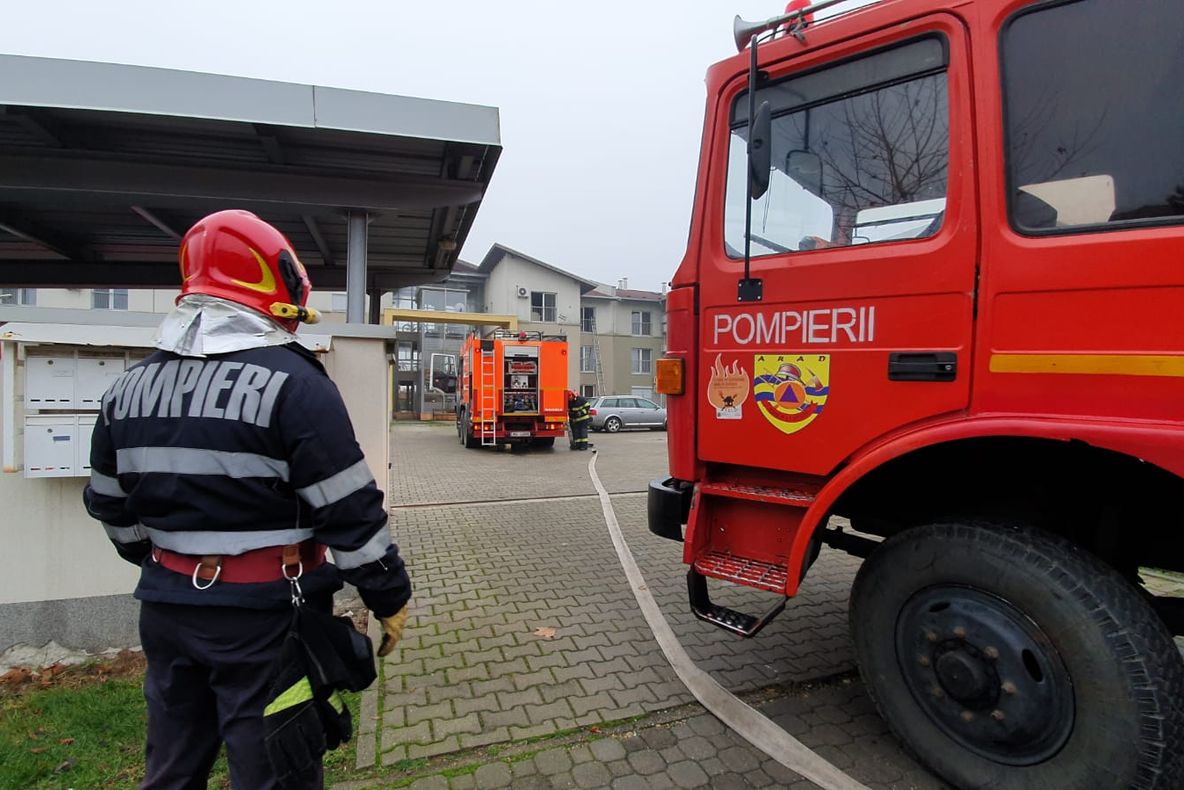 Arad: Copac căzut pe un drum din Arad. Circulația pe un sens de mers, blocată