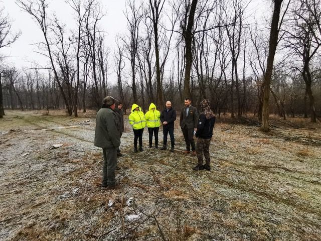 Arad: Control al autorităților de mediu în pădurile din Arad, ca urmare a unor reclamații. Ce au constat autoritățile