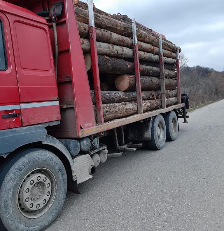 Arad: AUDIO 78 de metri cubi de lemne tăiați ilegal, în valoare de cca 14.500 de lei, recuperați de către jandarmii din Arad