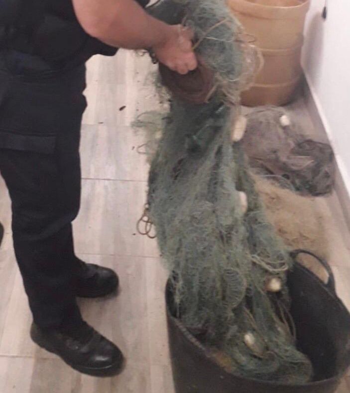 Arad: AUDIO Un nou caz de braconaj, în timp de pandemie, la Arad. Al 3-lea, într-o săptămână. Ce spun jandarmii