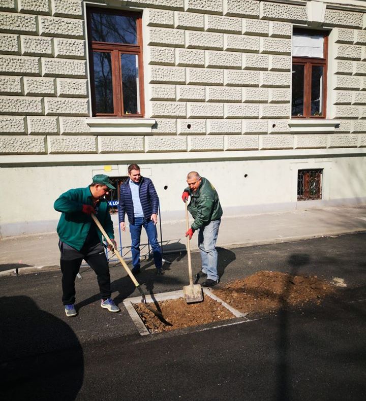 Arad: AUDIO Zeci de copaci plantați în centrul Aradului. Primarul Călin Bibarț: "Viața merge înainte"