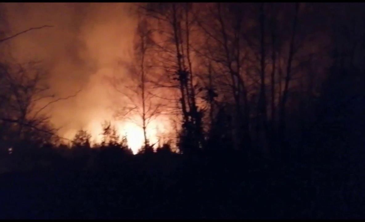 Arad: AUDIO FOTO VIDEO Pășune de 30 de ha și un transformator electric, distruse de incendii de vegetație uscată, în Arad