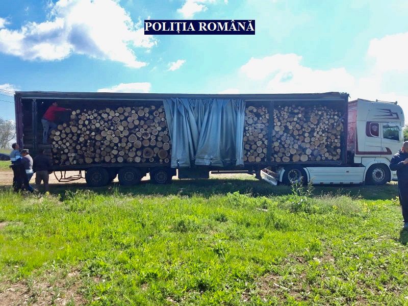 Arad: Camion încărcat cu lemne fără documente, descoperit de către polițiștii din Arad