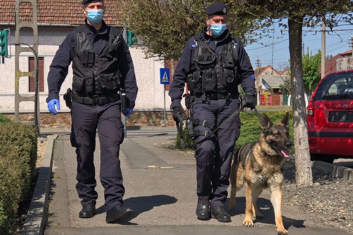 Arad: AUDIO Cine vrea să devină jandarm are acum ocazia. Locuri Ce trebuie să faceți și locurile scoase la concurs