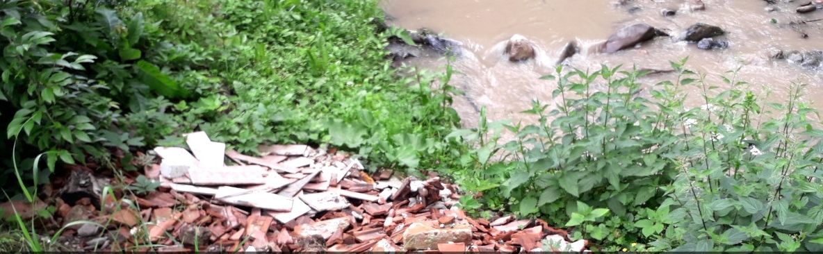 Arad: Moloz aruncat pe valea din stațiunea Moneasa, supranumită "Perla Munților Apuseni". Ce spun comisarii Gărzii de Mediu