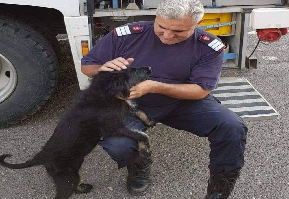 Arad: O altfel de poveste despre un salvator altfel, unul mai special