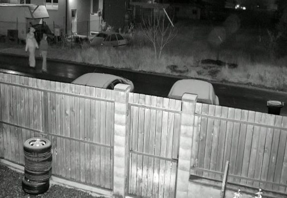 Atacuri stranii într-o comună din județul Arad