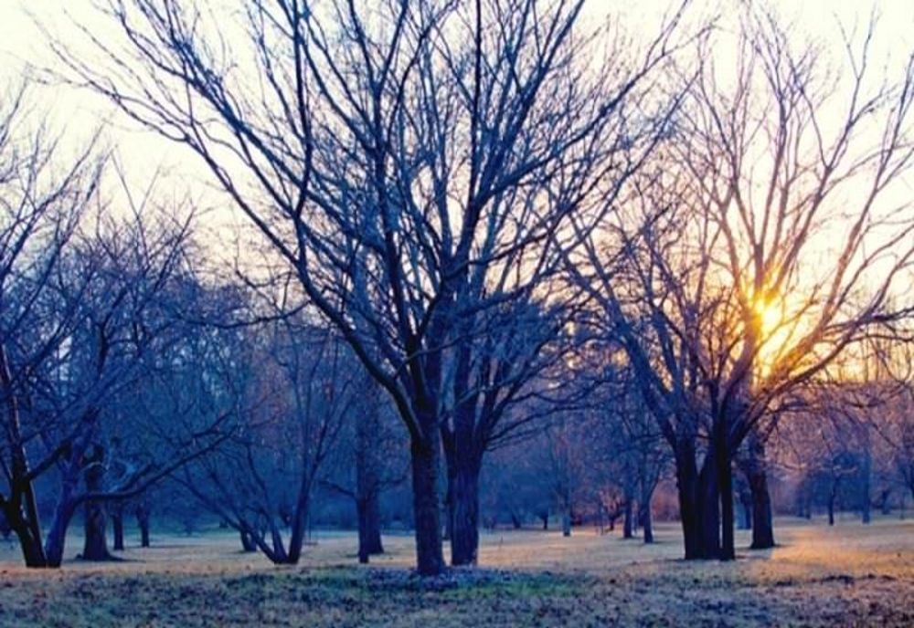 Vreme caldă și închisă, la început de săptămână