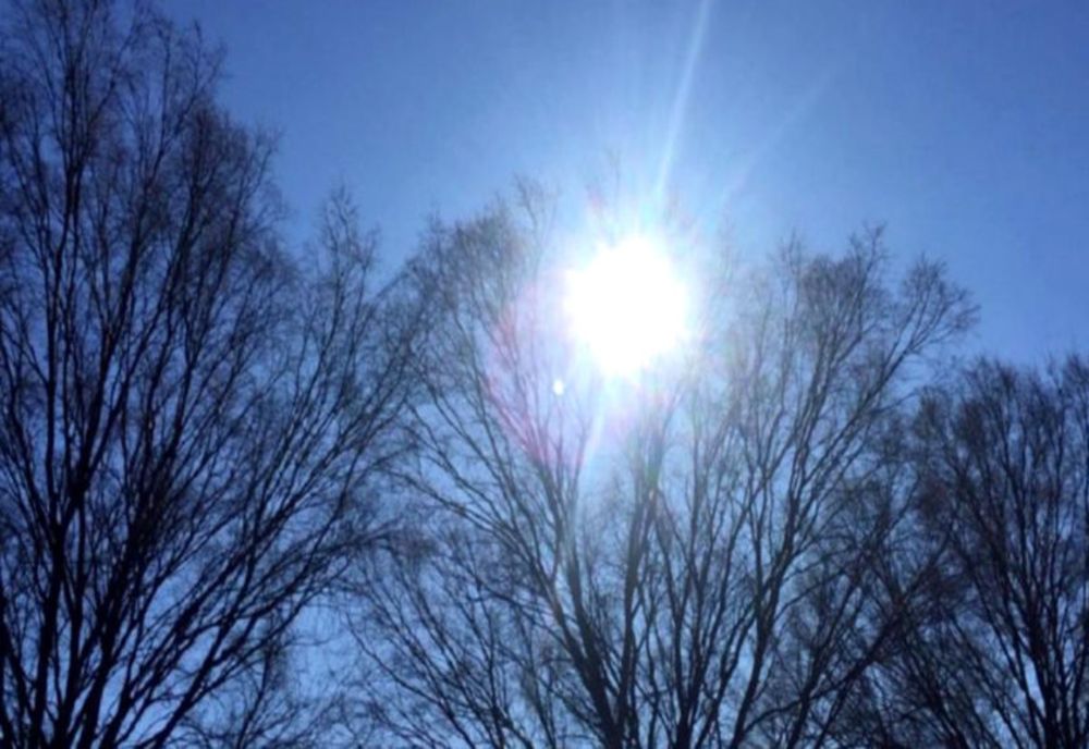 Vremea la început de an în Banat și Crișana