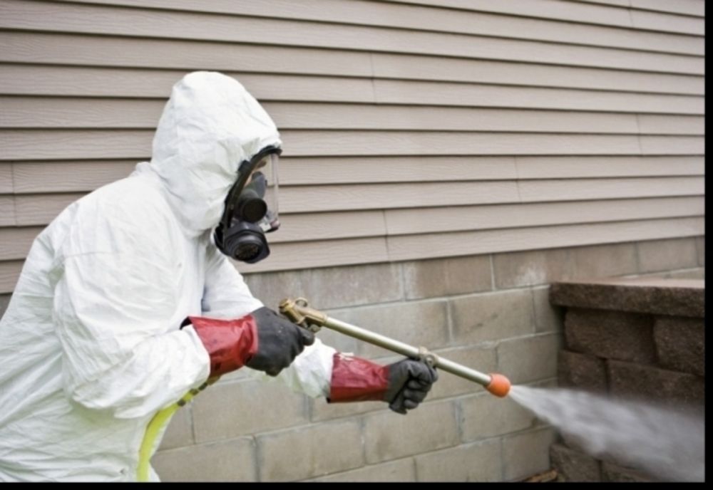 Acțiune de deratizare pe domeniul public, în Arad