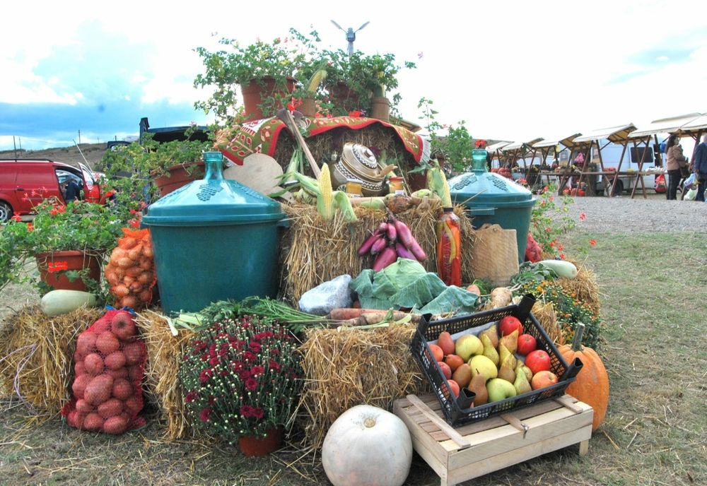 Pregătiri pentru Ziua Recoltei la Arad
