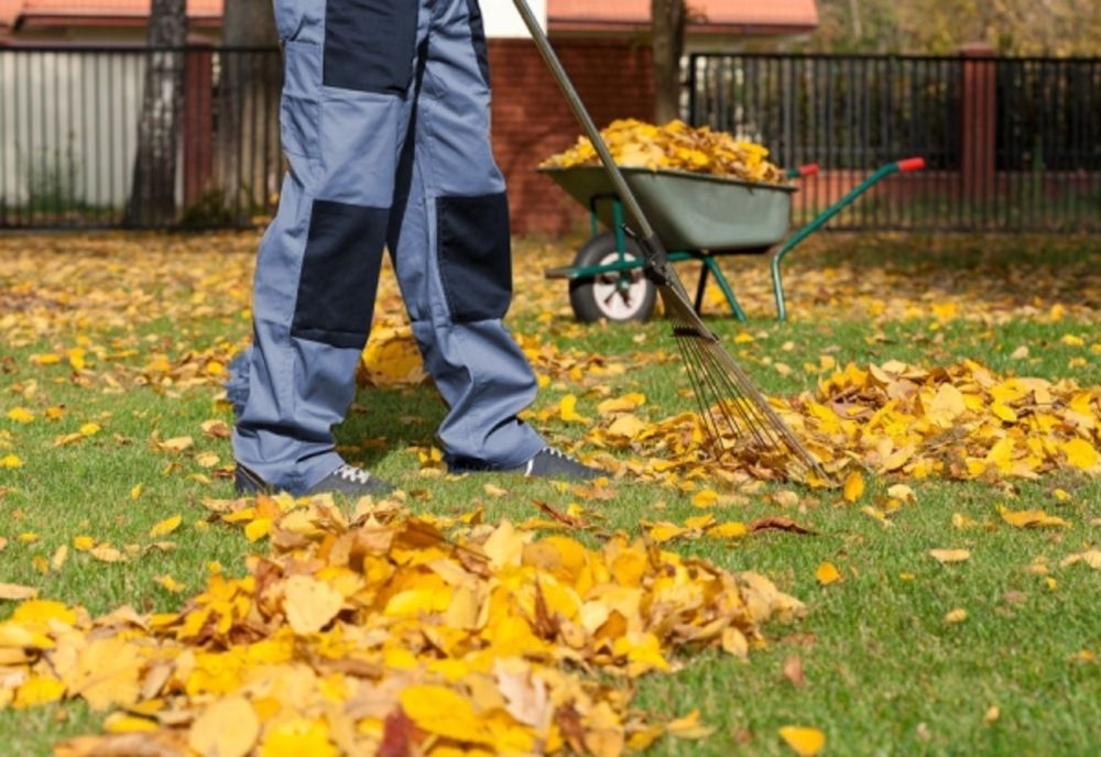 Curățenia de toamnă continuă la Arad