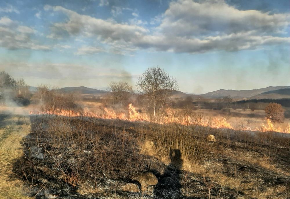 82 de misiuni ale pompierilor militari arădeni: atenție la incendierea miriștilor