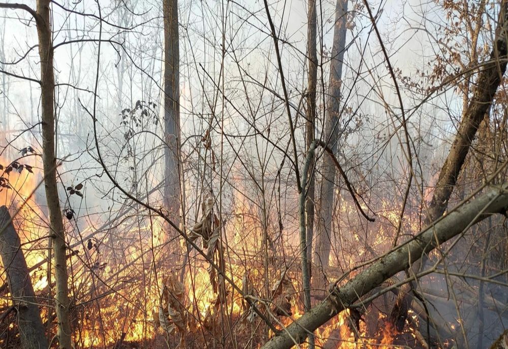 119 misiuni ale pompierilor militari arădeni în ultimele zile