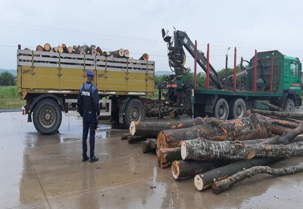 Amenzi de 15.000 de lei pentru contravenţii silvice, în județul Arad