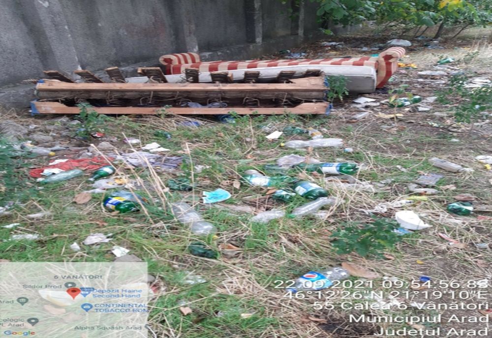 Verificarea curățeniei în zone de intrare în Arad