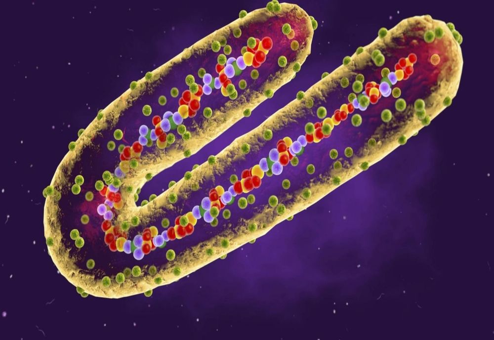 Virusul mortal care ridică îngrijorări majore în rândul medicilor - au fost raportate deja decese