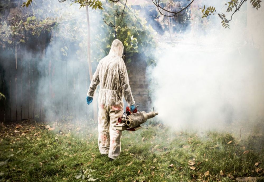 O nouă acțiune de deratizare pe domeniul public şi privat al municipiului Arad