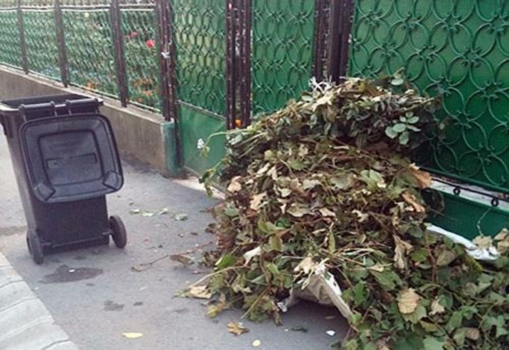Colectarea gratuită a deșeurilor vegetale în Arad