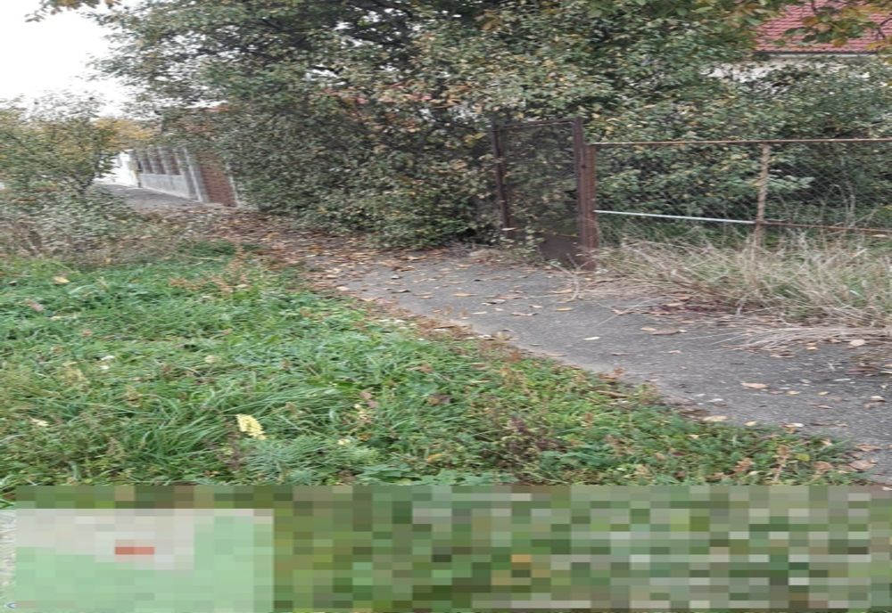 Amenzi pentru trotuare murdare și spații verzi neîngrijite, la Arad