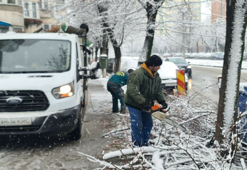 Măsuri luate la Arad după prima ninsoare mai serioasă din acest an