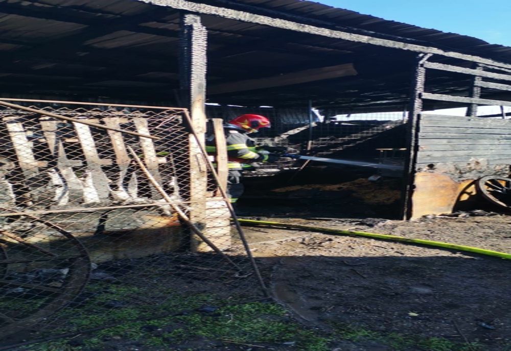 Incendiu în județul Arad. Flăcările au pornit după ce s-a dat foc unor resturi vegetale